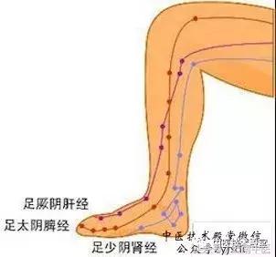 教你從頭到腳拍一拍，氣血暢通生病少