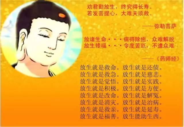 放生蚯蚓的功德，對戒除邪淫的好處（支持個人隨緣放生）