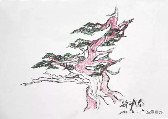 鄭誠恭真柏盆景作品欣賞，不為捨得，捨出空間，空間有美