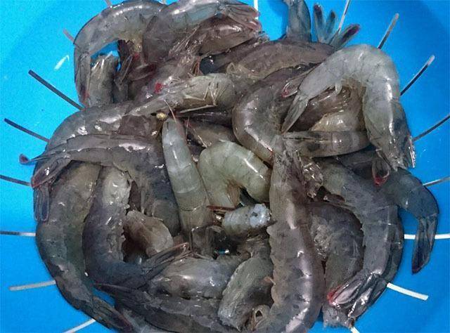 醫生忠告：別再吃這8 種食物了！寄生蟲最多，會傷害神經系統，能不吃就不吃！