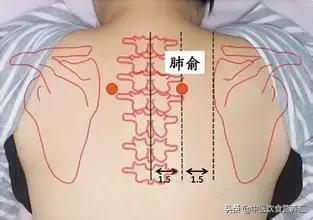 養肺先養氣，這幾個穴位，男人精力盛，女人皮膚滑，老人少生病！