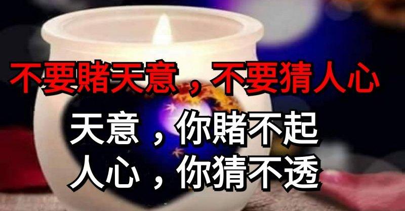 不要賭天意，不要猜人心，天意你賭不起！人心你猜不透！