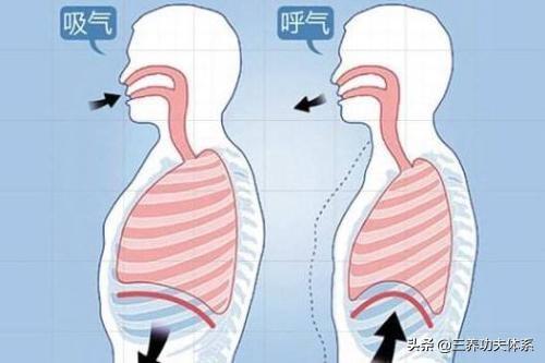 健康呼吸的最高境界胎息（人人可學）