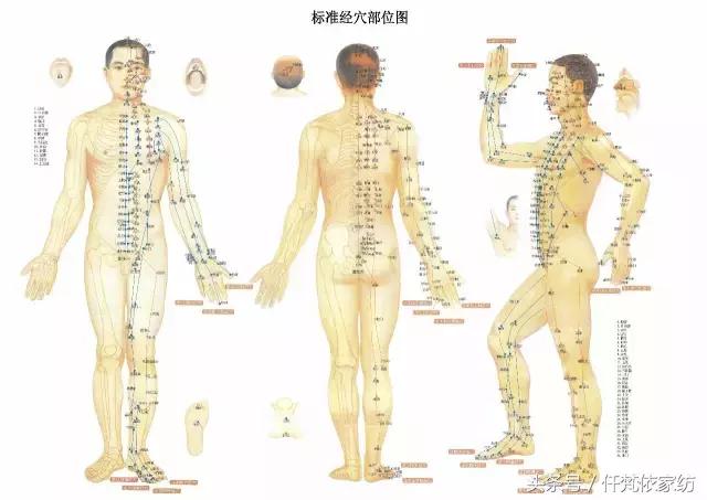 經絡不通，百病纏身, 處百病，調虛實，不可不通