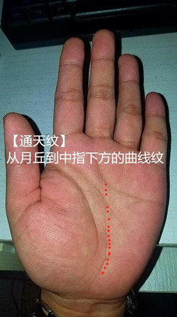 手中心的這條掌紋「很特殊」、很神，有的人真是超級好命