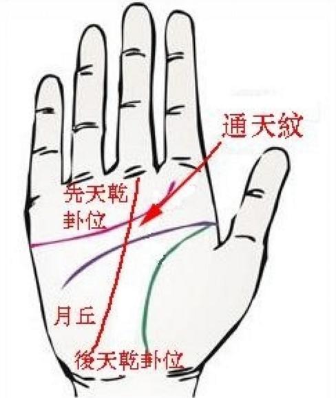 手中心的這條掌紋「很特殊」、很神，有的人真是超級好命
