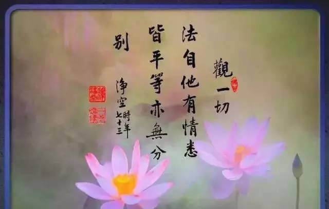 師父說：常說這兩個字，你的福氣會 越 來 越 多