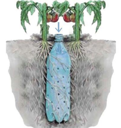 把空水瓶埋進花盆裡，再也不擔心澆水問題，廢物變成養花神器