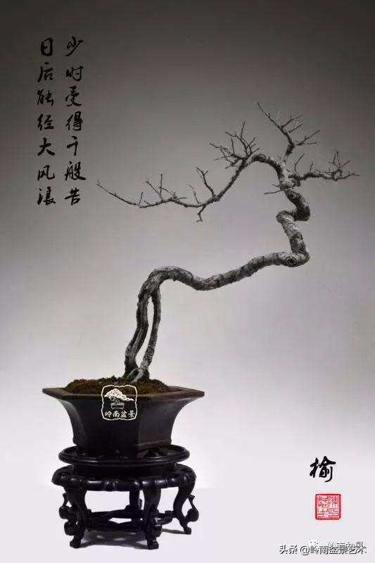 好作品是「玩」出來的！