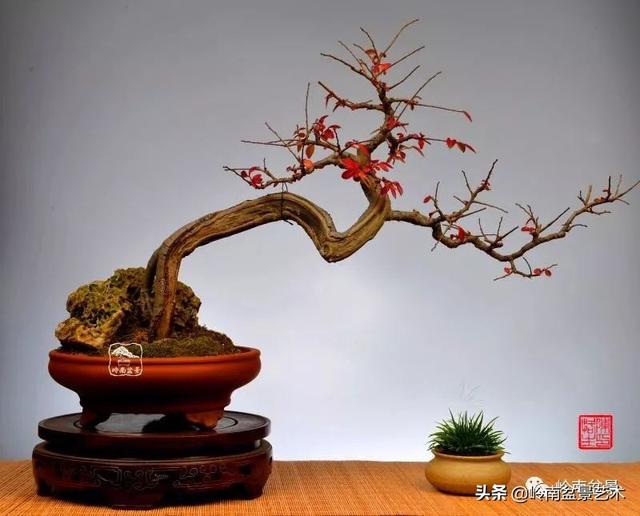 好作品是「玩」出來的！