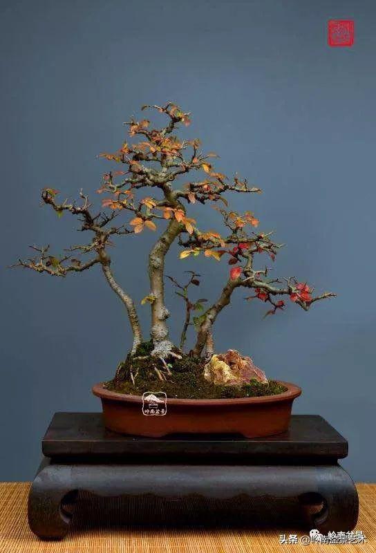 好作品是「玩」出來的！