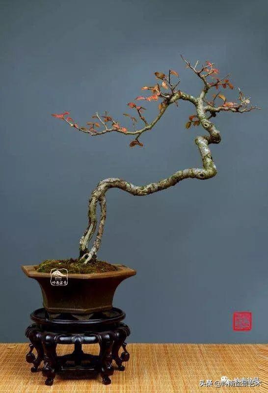 好作品是「玩」出來的！