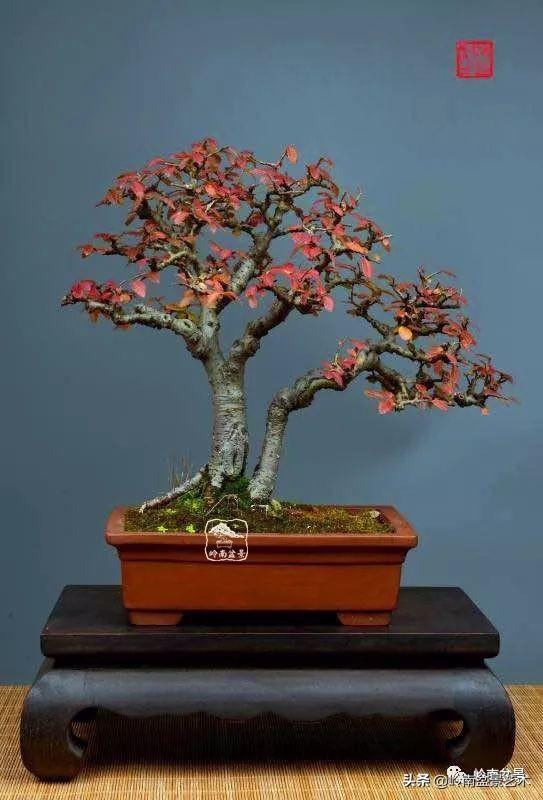好作品是「玩」出來的！