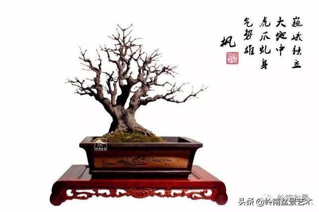 好作品是「玩」出來的！