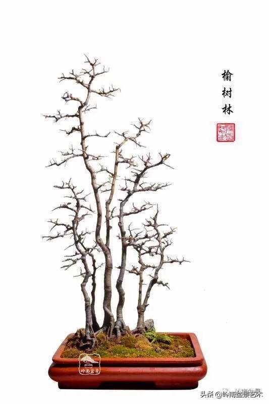 好作品是「玩」出來的！