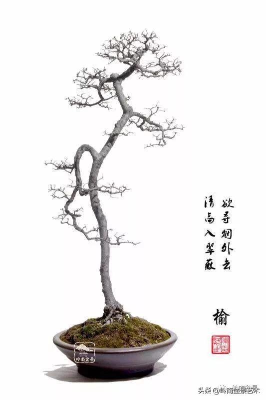 好作品是「玩」出來的！