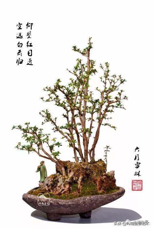 好作品是「玩」出來的！