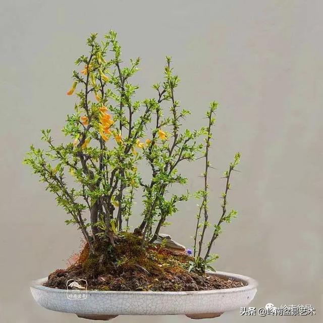 好作品是「玩」出來的！