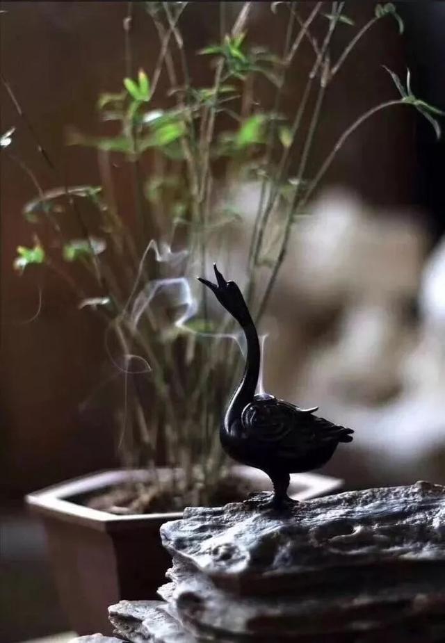 人的好運從哪裡來？（寫得真對）