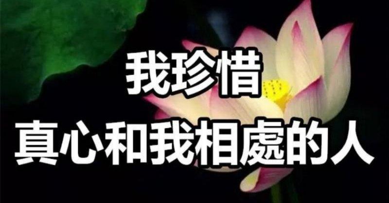 2019，我珍惜真心和我相處的人