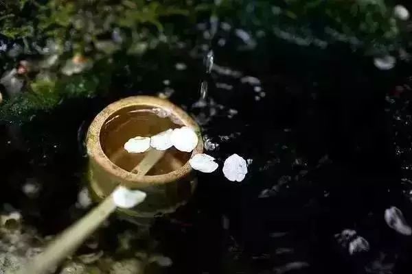 2019，我珍惜真心和我相處的人