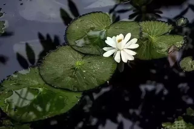 2019，我珍惜真心和我相處的人