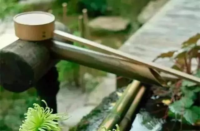 2019，我珍惜真心和我相處的人