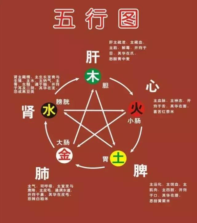 五行揭秘：心肝脾肺腎，保養有竅門