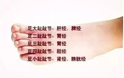足背拉一拉，活到98！老中醫絕學，比按摩還有效！