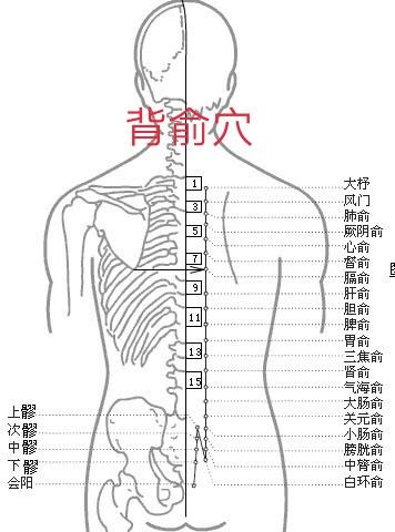 藉助工具拍打膀胱經，拍兩天，消除疲勞，身心輕鬆，小心上癮