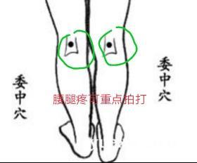 藉助工具拍打膀胱經，拍兩天，消除疲勞，身心輕鬆，小心上癮