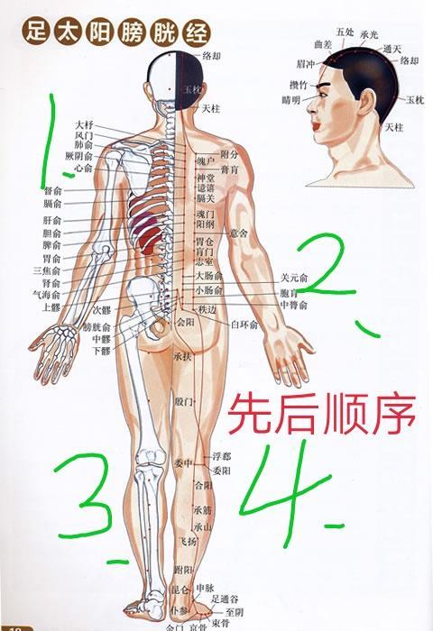 藉助工具拍打膀胱經，拍兩天，消除疲勞，身心輕鬆，小心上癮