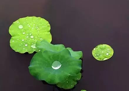 故事很短，卻說出了人性！最後一條厲害了！