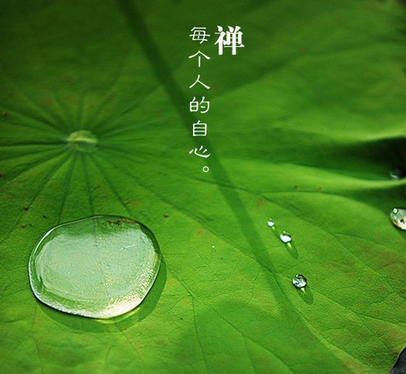 故事很短，卻說出了人性！最後一條厲害了！