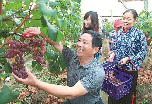 為給兒子買房我去做保姆，接到兒子的簡訊，我淚流滿面