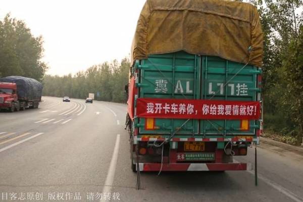 她在自己開的卡車後面貼上「徵婚啟事」：我養你，只要你給我愛情！
