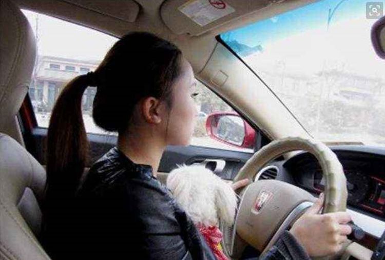 老人晚上進城迷路，被女老闆主動送回家，卻因此救了自己一命