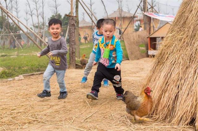 把妹妹給鄉下的姥姥，把哥哥給鄉下奶奶，幾天後，媽媽笑噴了