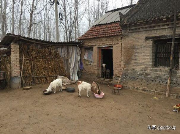 老婆每月給岳母三千給俺媽一千，母親來找俺說理，俺攆她回老家