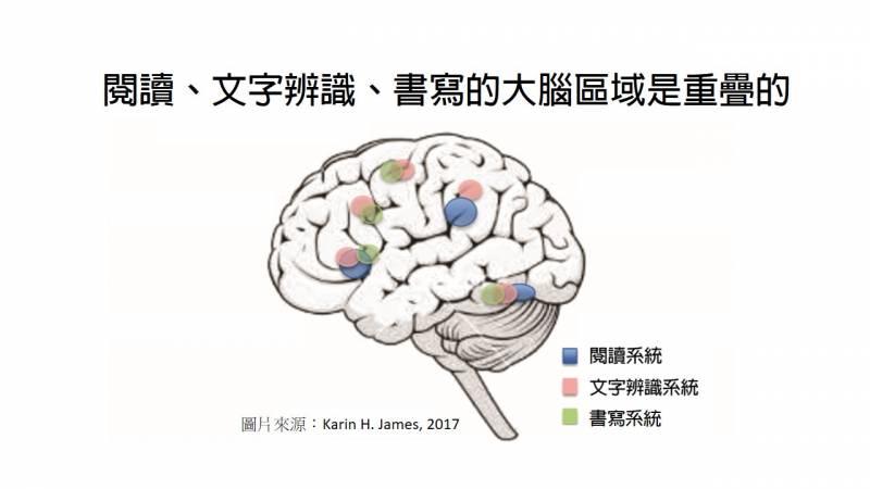 科學研究證實：學寫字有助於孩子的閱讀力發展！