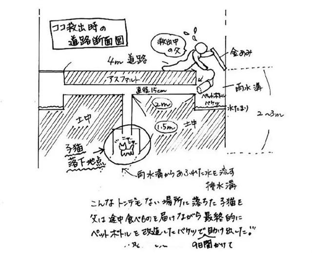 流浪貓受老爺爺救助後，整日黏身邊報答救命之恩，還惹來奶奶吃醋