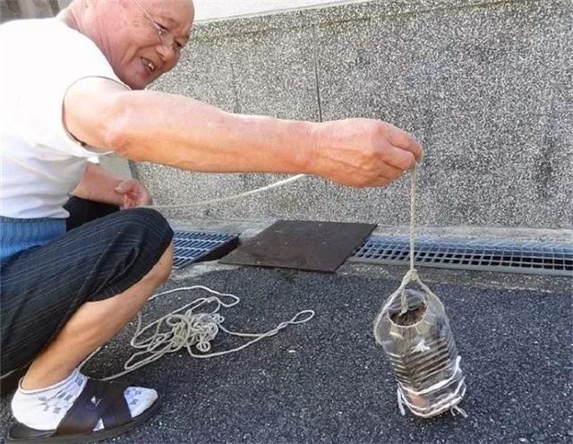 流浪貓受老爺爺救助後，整日黏身邊報答救命之恩，還惹來奶奶吃醋
