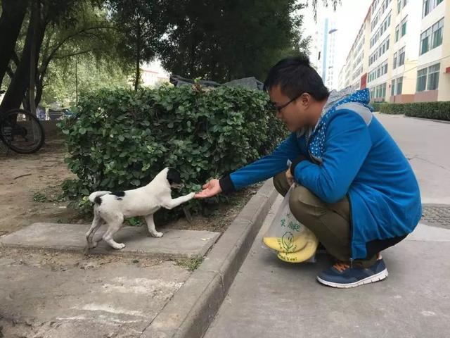 流浪狗為填飽肚子叼走外賣，坦然走出校園，將食物帶給飢餓夥伴