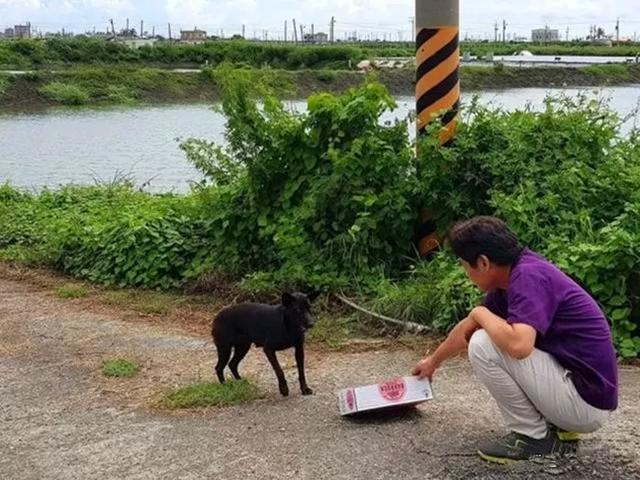 黑狗冒險攔車求救，只因白狗不慎掉河中，等同伴獲救後又悄然離開