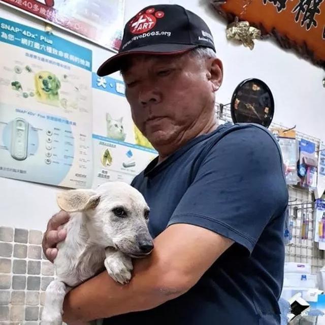黑狗冒險攔車求救，只因白狗不慎掉河中，等同伴獲救後又悄然離開