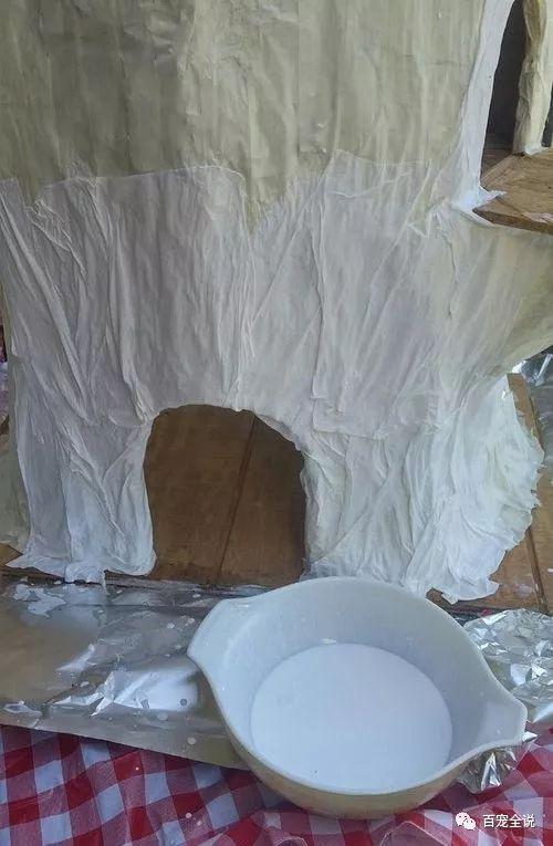 貓奴決心給愛貓做一個獨一無二的貓爬架，最終做成了一棵參天大樹
