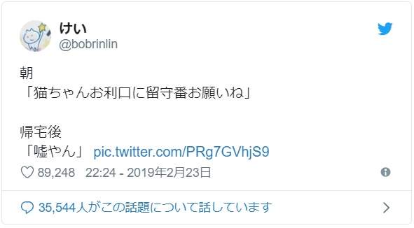《把紙箱交給貓的下場》不對，這不是我以為會看到的結果啊...