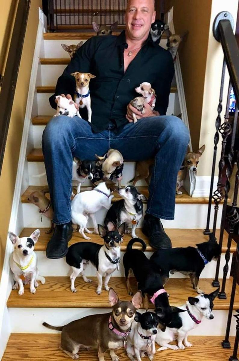 鐵漢柔情《吉娃娃救援者》喜歡大犬的硬漢因緣際會成為小狗迷　每天被吉娃娃包圍超幸福♥