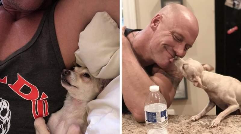 鐵漢柔情《吉娃娃救援者》喜歡大犬的硬漢因緣際會成為小狗迷　每天被吉娃娃包圍超幸福♥