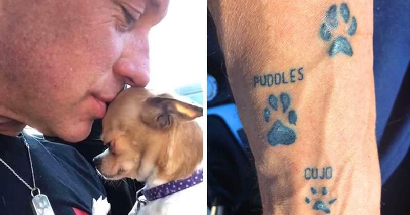 鐵漢柔情《吉娃娃救援者》喜歡大犬的硬漢因緣際會成為小狗迷　每天被吉娃娃包圍超幸福♥